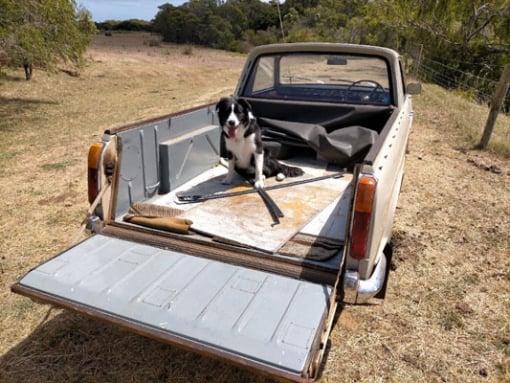Rear view of MkII Austin 1800 ute
